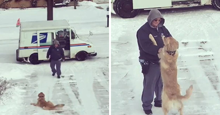 Doggo Waits Every Day To Get A Hug From His Favorite Mailman