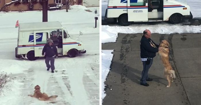Doggo Waits Every Day To Get A Hug From His Favorite Mailman
