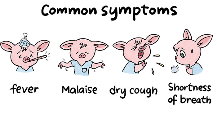 My Illustrations To Help To Understand Coronavirus More Easily And Take Precautions (13 Pics)