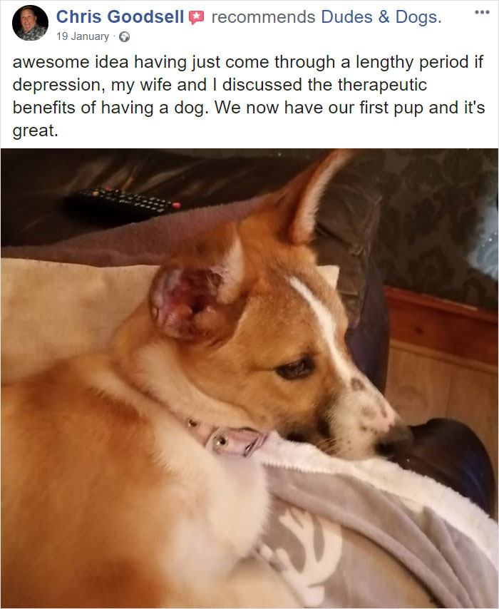 Guy Sets Up A Dog-Walking Group For Men Who Need A Companion To Open Up About Their Problems