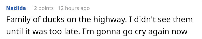 The Same Artist Who Made People Cry With Her ‘Good Boy’ And ‘Black Cat’ Comics Just Released A New One With A Duck The Same Artist Who Made People Cry With Her ‘Good Boy’ And ‘Black Cat’ Comics Just Released A New One With A Duck