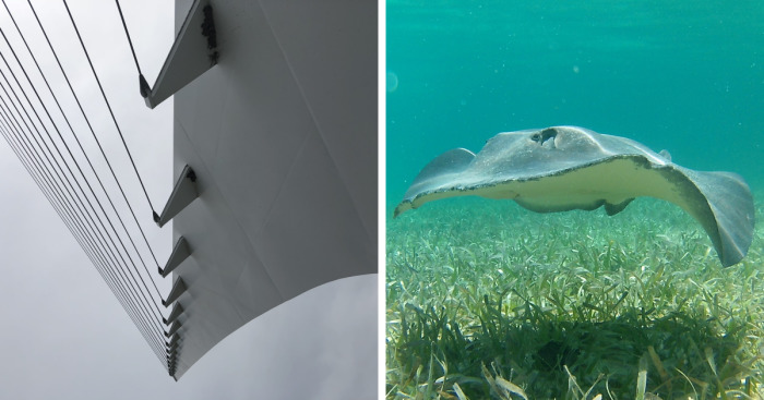 I Share All That Can Be Seen Through My Eyes