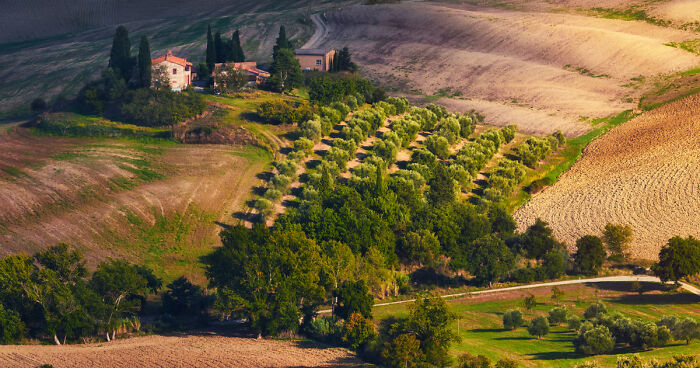 Amazing Undulating Land — Tuscany Through My Eyes