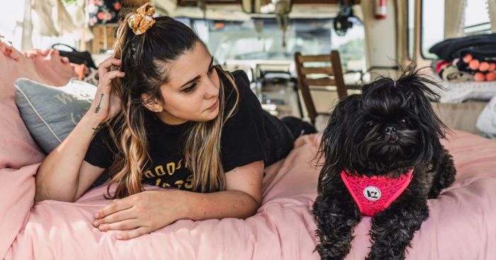 The Life Of A Girl, Her Dog, And Little Blue Bus