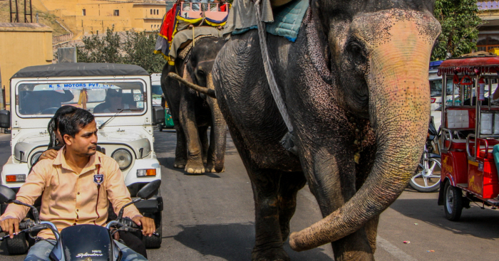 12 Pictures Of Traffic In India That Might Make You Rethink Your Traffic Problems