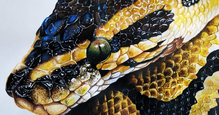 I Create These Realistic Acrylic Paintings (10 Pics)