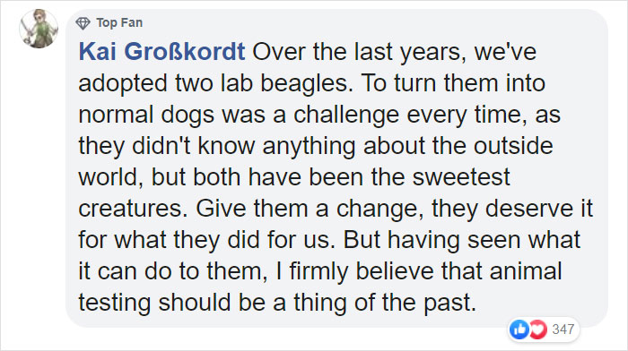 Animals That Were Used For Drug Testing Can Now Be Adopted Instead Of Euthanized Animals That Were Used For Drug Testing Can Now Be Adopted Instead Of Euthanized