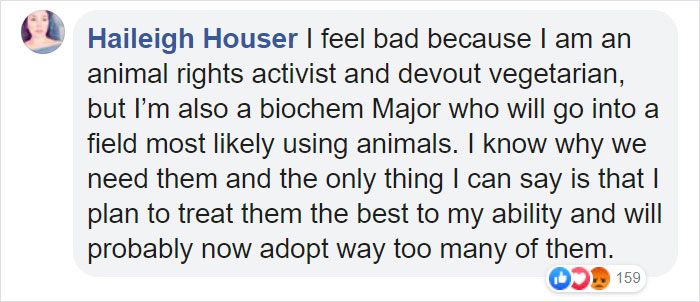 Animals That Were Used For Drug Testing Can Now Be Adopted Instead Of Euthanized Animals That Were Used For Drug Testing Can Now Be Adopted Instead Of Euthanized
