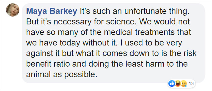 Animals That Were Used For Drug Testing Can Now Be Adopted Instead Of Euthanized Animals That Were Used For Drug Testing Can Now Be Adopted Instead Of Euthanized