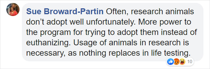 Animals That Were Used For Drug Testing Can Now Be Adopted Instead Of Euthanized Animals That Were Used For Drug Testing Can Now Be Adopted Instead Of Euthanized