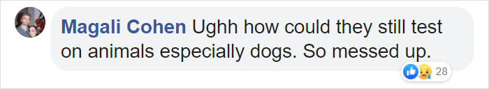 Animals That Were Used For Drug Testing Can Now Be Adopted Instead Of Euthanized Animals That Were Used For Drug Testing Can Now Be Adopted Instead Of Euthanized