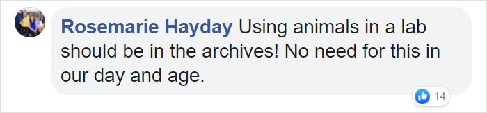 Animals That Were Used For Drug Testing Can Now Be Adopted Instead Of Euthanized Animals That Were Used For Drug Testing Can Now Be Adopted Instead Of Euthanized
