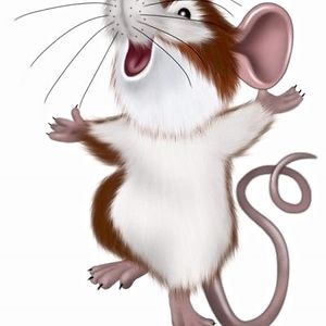 minimaus avatar