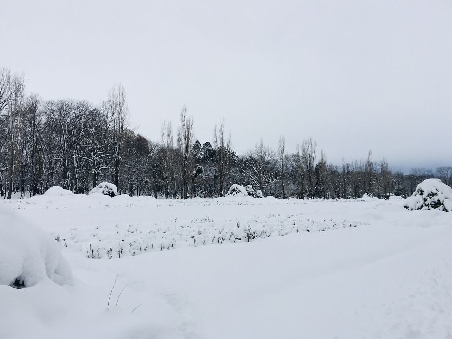 I Captured Bucharest Under Snow (30 Pics)