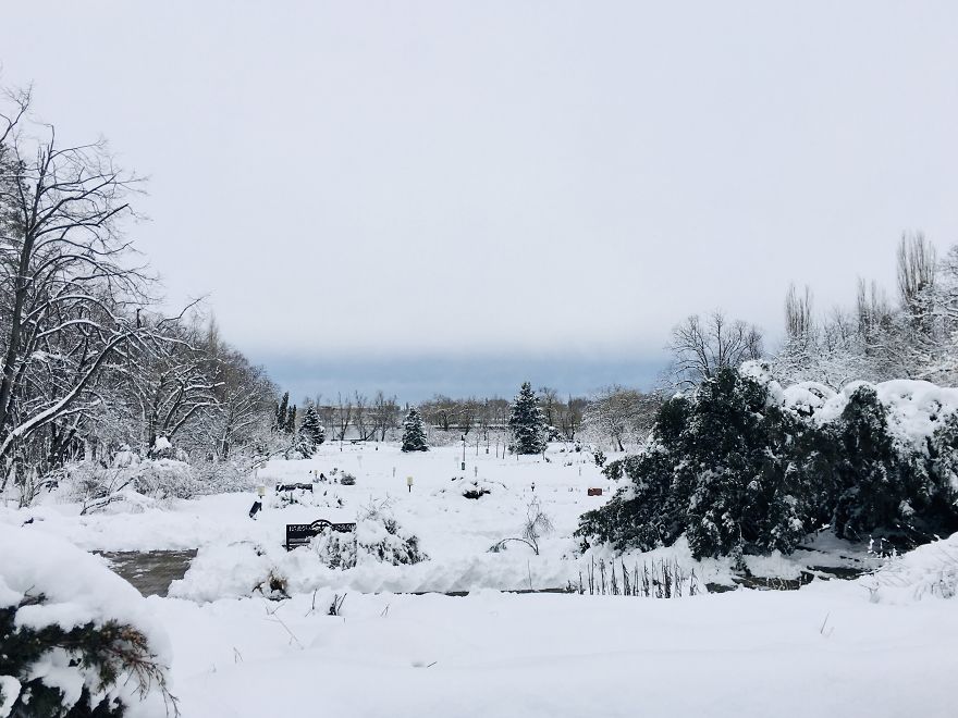 I Captured Bucharest Under Snow (30 Pics)