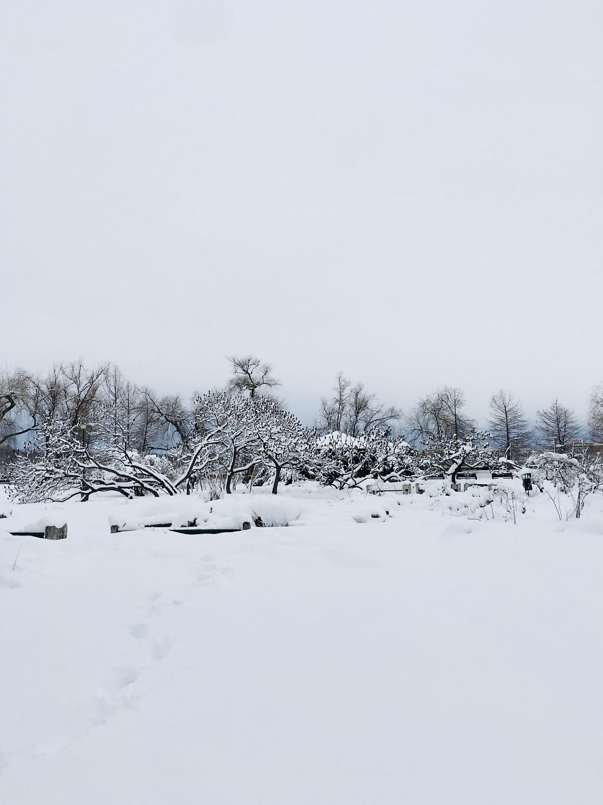 I Captured Bucharest Under Snow (30 Pics)