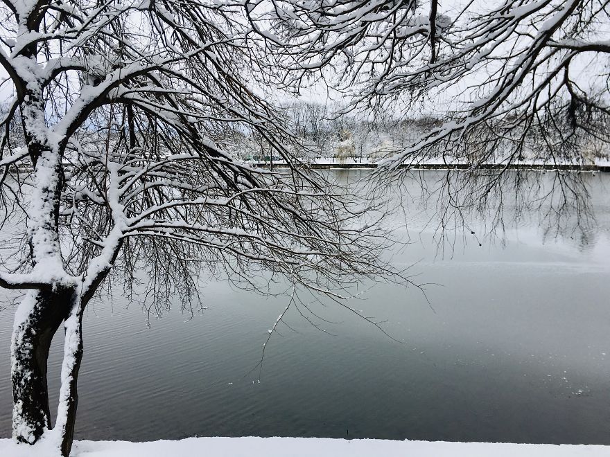 I Captured Bucharest Under Snow (30 Pics)