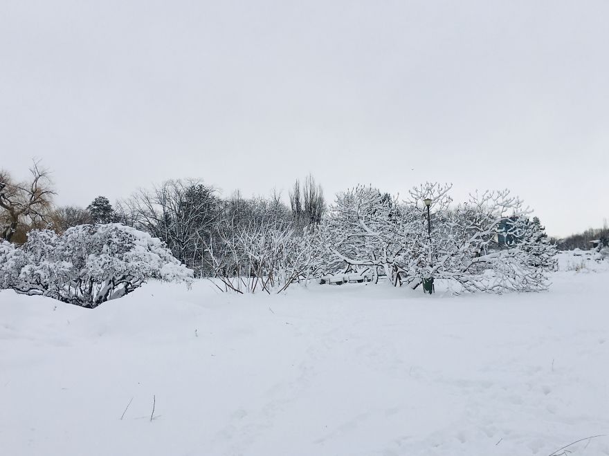 I Captured Bucharest Under Snow (30 Pics)
