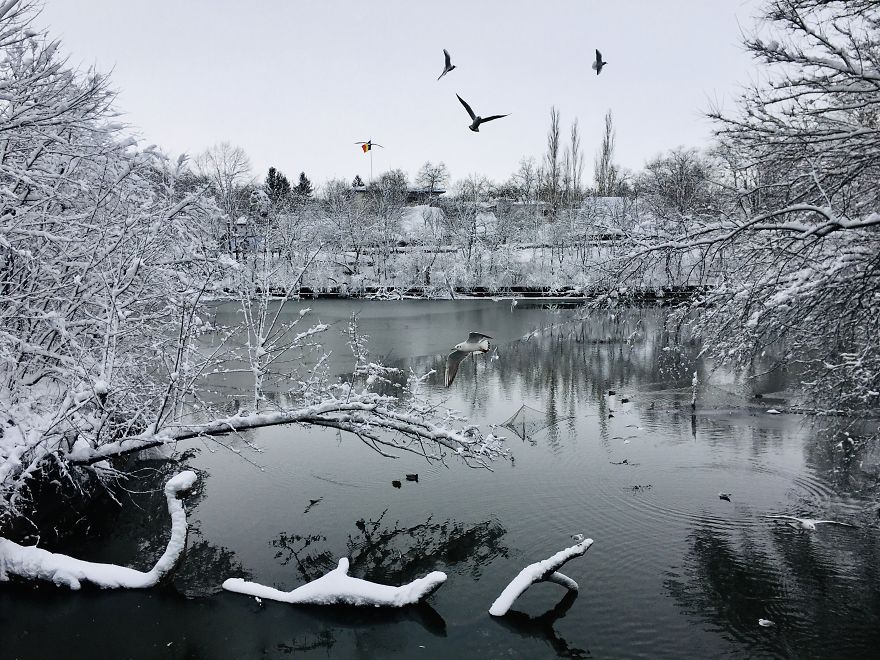 I Captured Bucharest Under Snow (30 Pics)