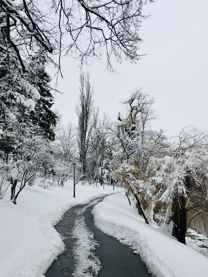 I Captured Bucharest Under Snow (30 Pics)