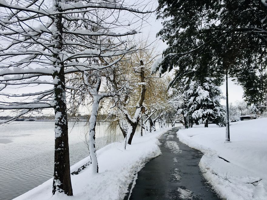 I Captured Bucharest Under Snow (30 Pics)
