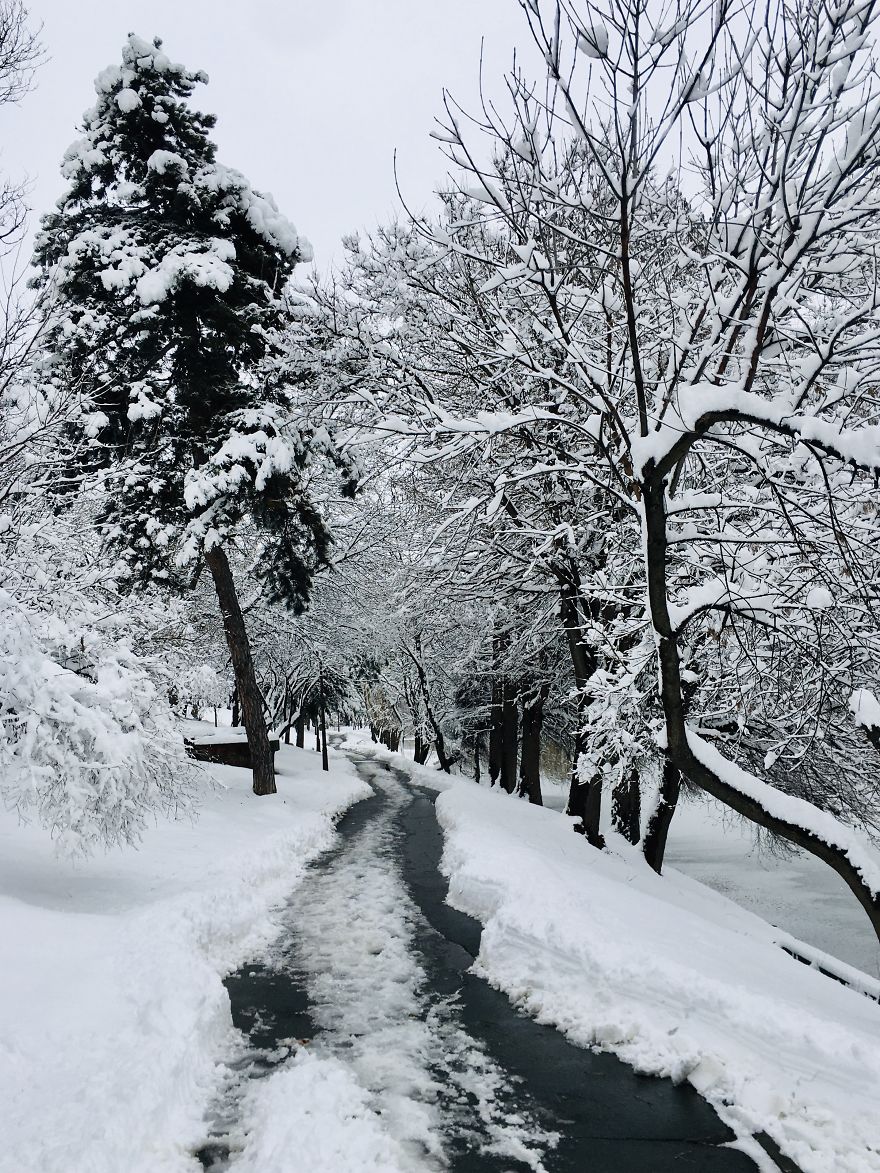 I Captured Bucharest Under Snow (30 Pics)