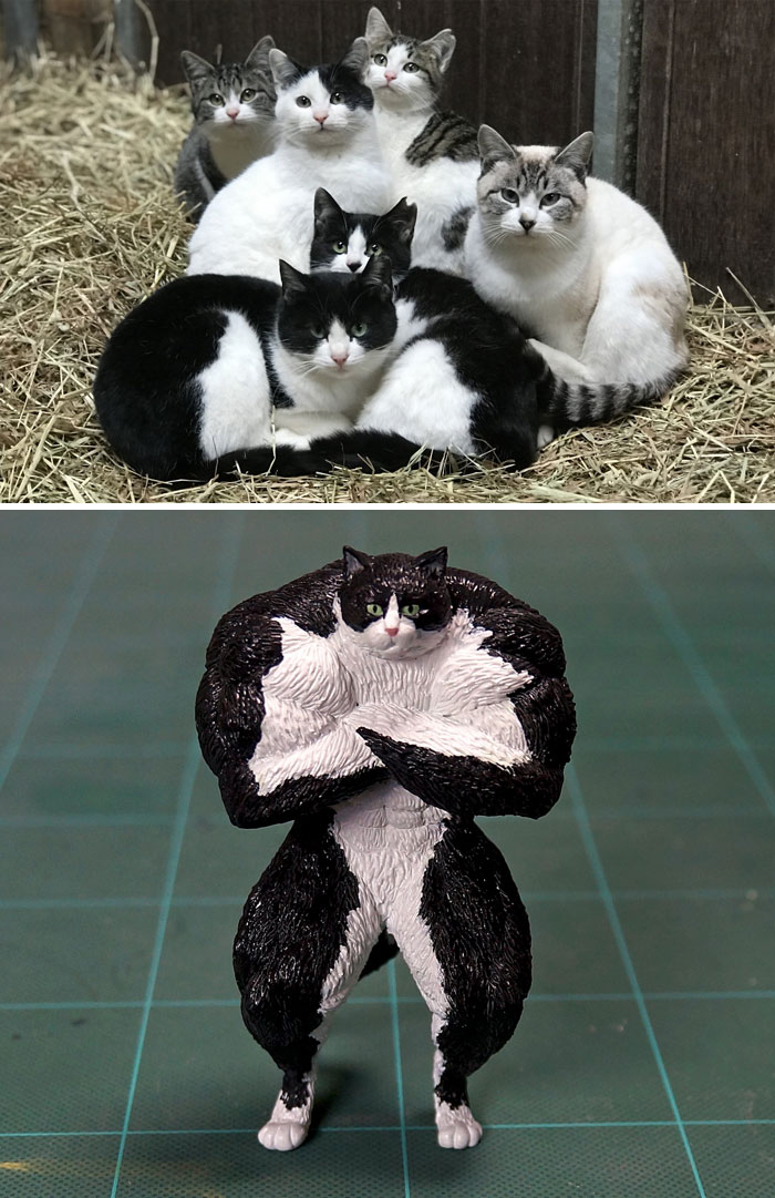 Funny Animals Sculptures