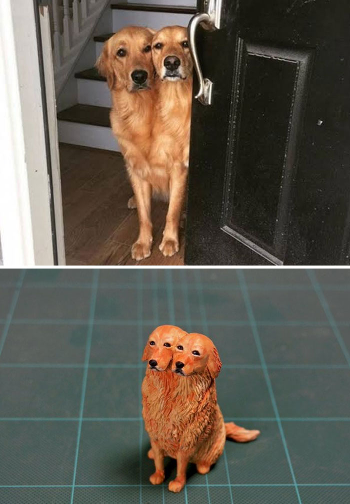 Funny Animals Sculptures