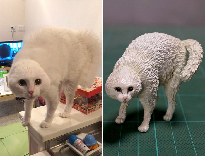 Funny Animals Sculptures