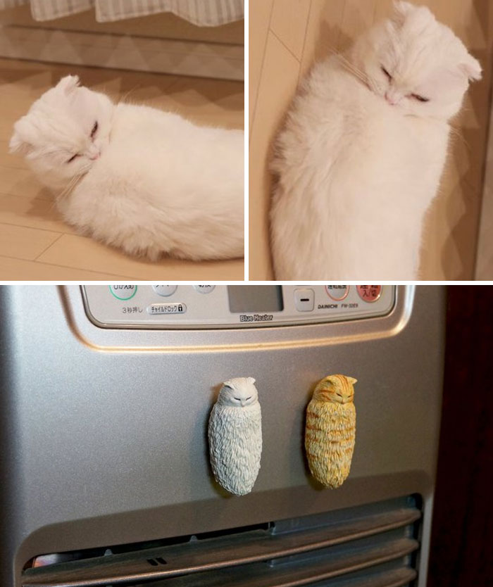 Funny Animals Sculptures