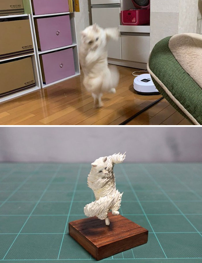Funny Animals Sculptures