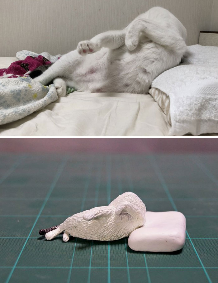 Funny Animals Sculptures