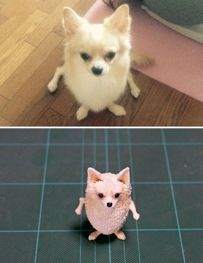 Funny Animals Sculptures