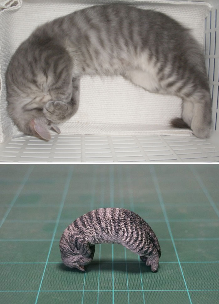 Funny Animals Sculptures