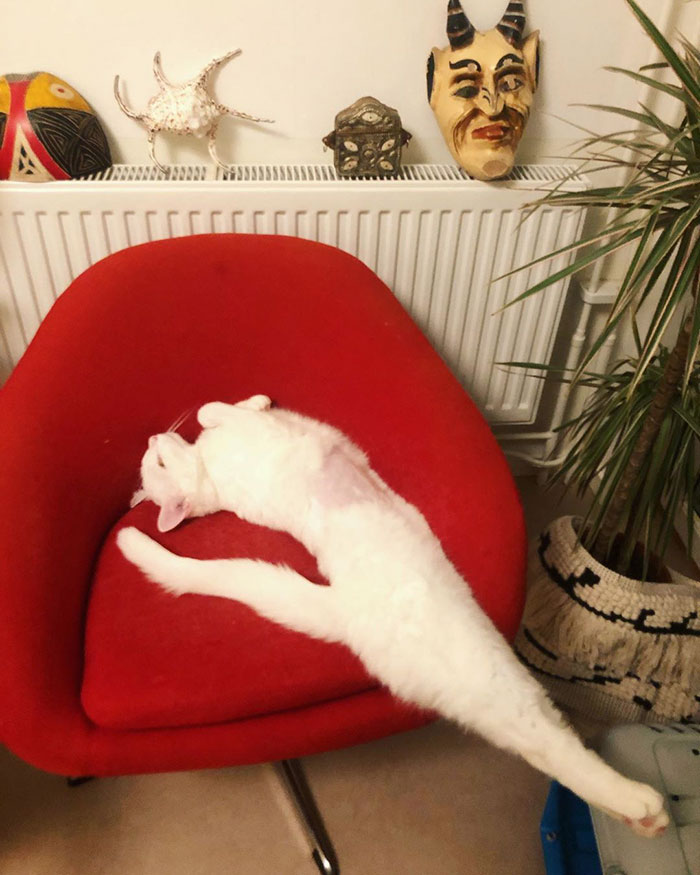 Let This Weekend Feel Looong