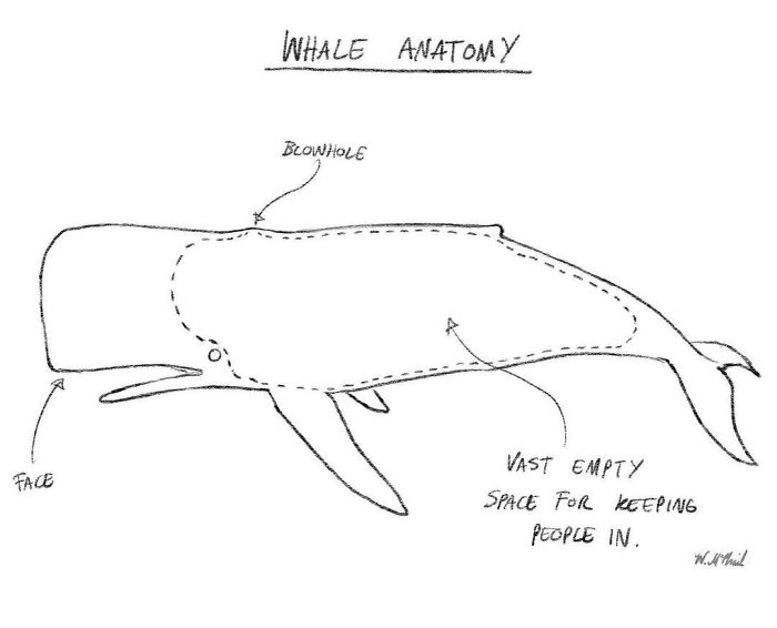 Funny-Comics-Will-Mcphail