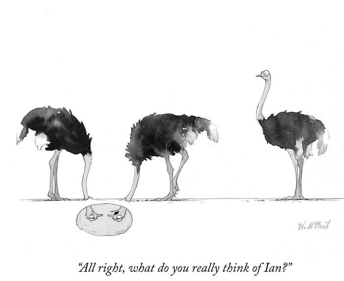 Funny-Comics-Will-Mcphail