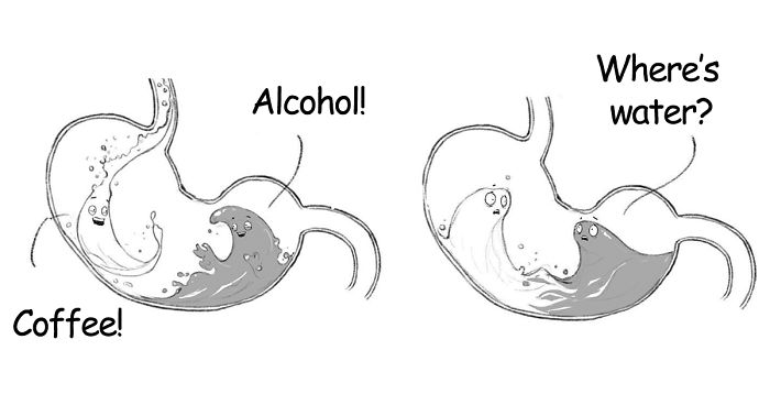 30 Clever Comics By The New Yorker Cartoonist, Will McPhail