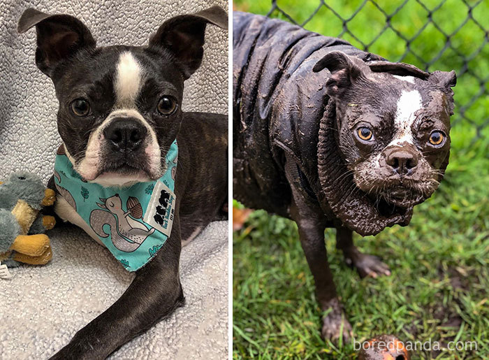 Fun Times. Except The Baths After