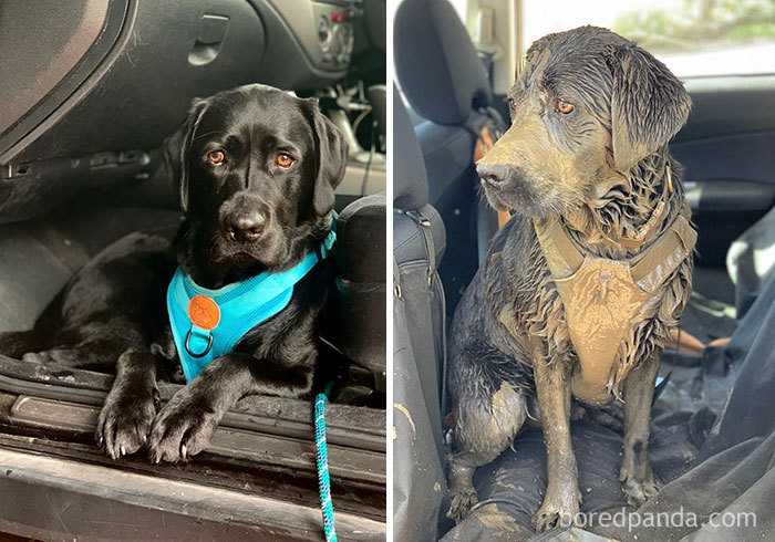 Because Who Doesn’t Love Mud? The Stinkier The Better, Right?