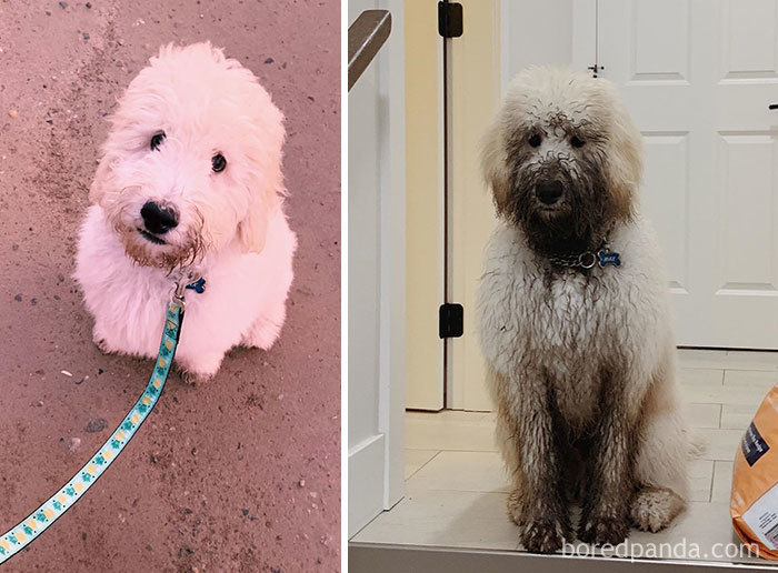 "I Guess You Can Say I Like Rolling In The Mud"