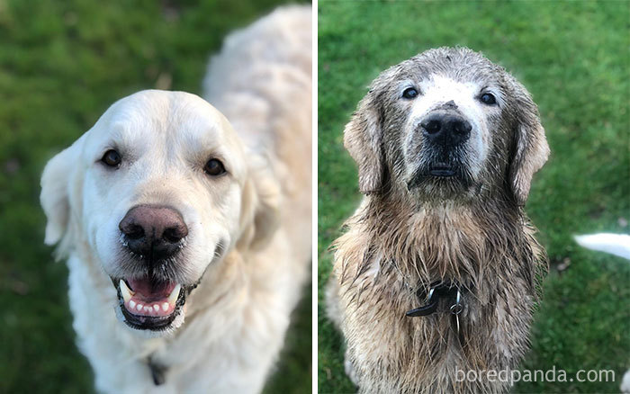 Someone Found The Mud Puddle Again