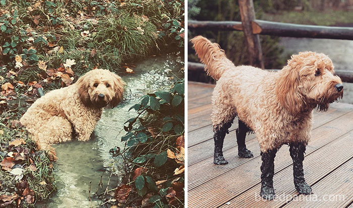 Ok, Guess Who Is Having A Bath Later? These Boots Are Made For Walking. And It Stinks