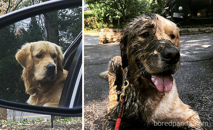 Who Sticks Their Entire Head In A Mud Puddle?