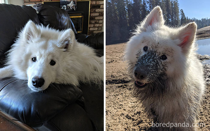 Can't Go To The Lake Without Getting A Little Dirty