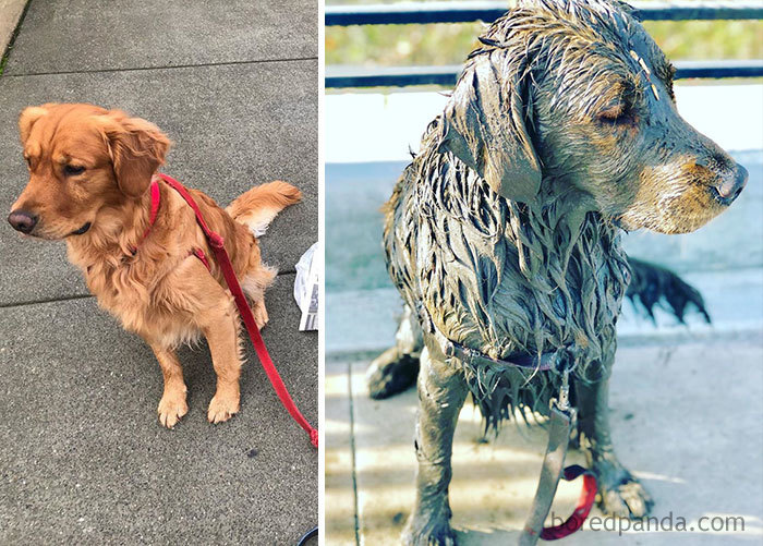 Mud Baths All Around