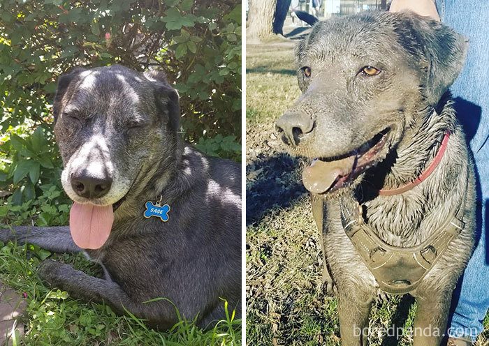 She Thought The Mud Puddle Was A Swimming Pool