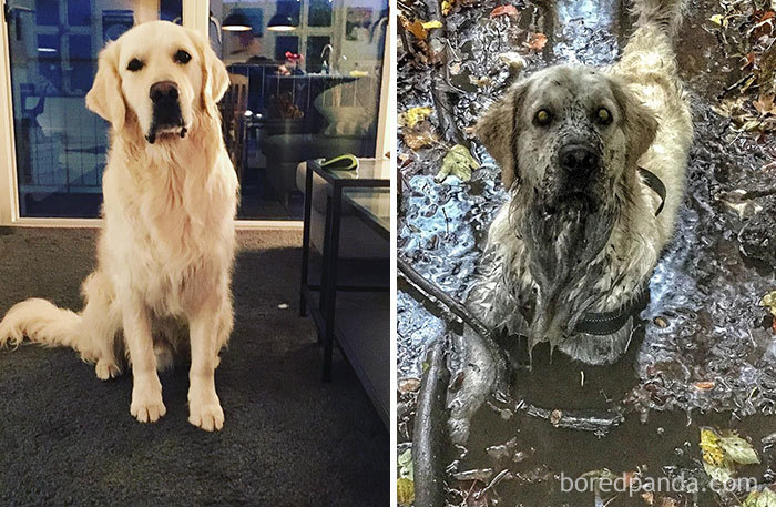 I Found One Of My Favorite Puddles