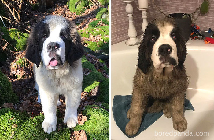 Well, It Was Like Time To Swim Again