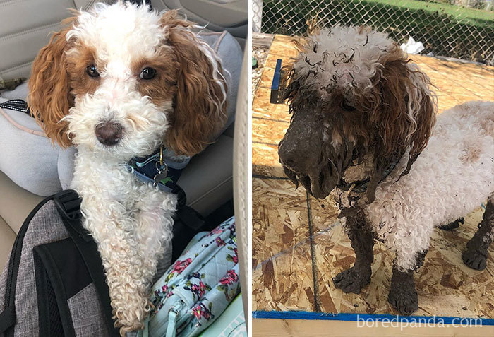 Before And After Mud Bath